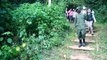 Mountain gorilla Mubare group Bwindi impenetrable forest, Uganda