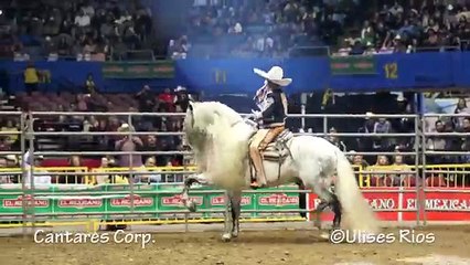 Ezequiel Peña - Los Angeles,Ca 1080p HD 7/7