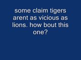 TIGERS ARE MORE VICIOUS THAN LIONS.