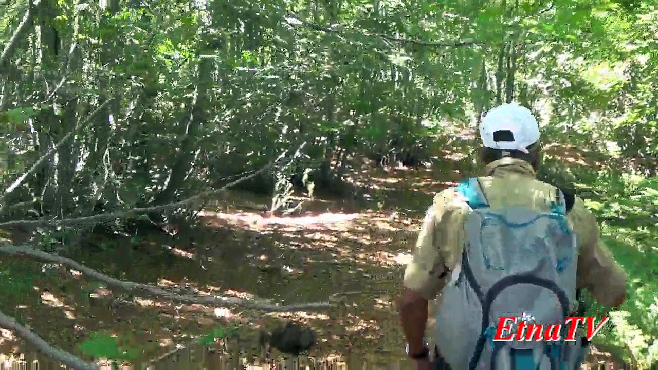 Video Etna. Escursione alla Grotta del Gelo, e 2° giorno in visita nel Bosco Ragabo.