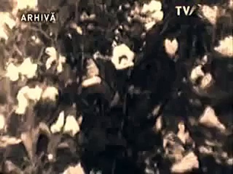 Irina Loghin - Pleaca puiul militar - Arhiva 1969