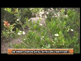 ŞİFALI BİTKİLER TANITIMI(ADANA)