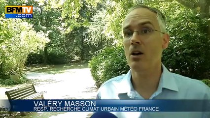 Paris: moins de bitume pour plus d’air frais?