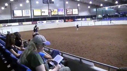 Im All That and Fancy 2011 Pinto World Show Hunter Under Saddle