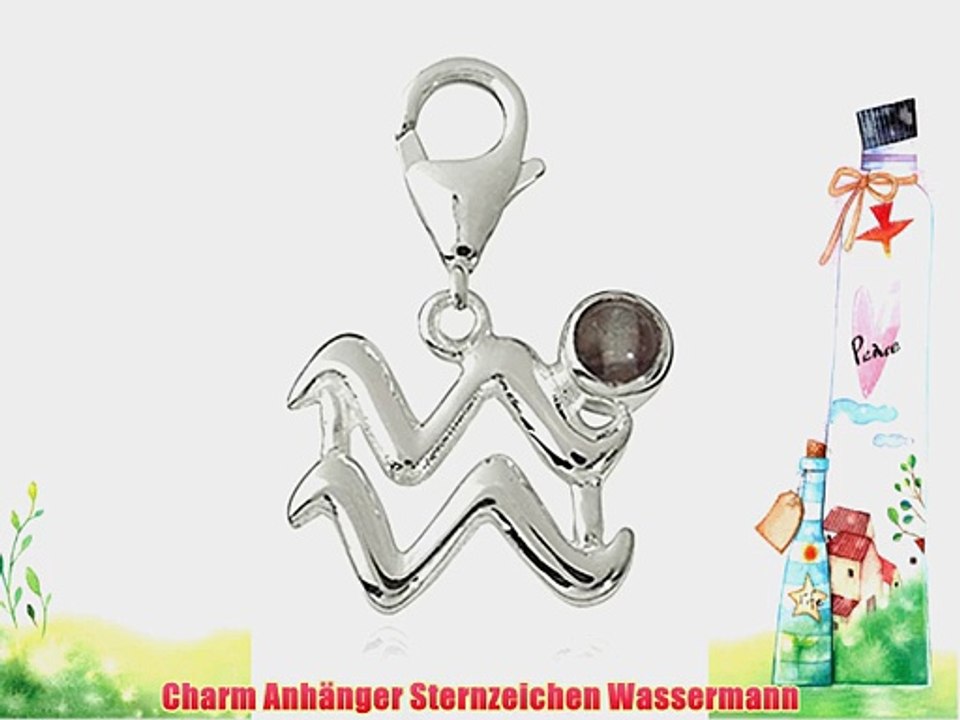 Charm Anh?nger Sternzeichen Wassermann 15mm 925 Sterling Silber mit Fluorit Edelstein grau