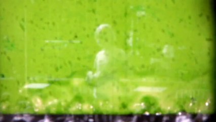 Easter Be-in, Stanley Park, Vancouver, April 6, 1969