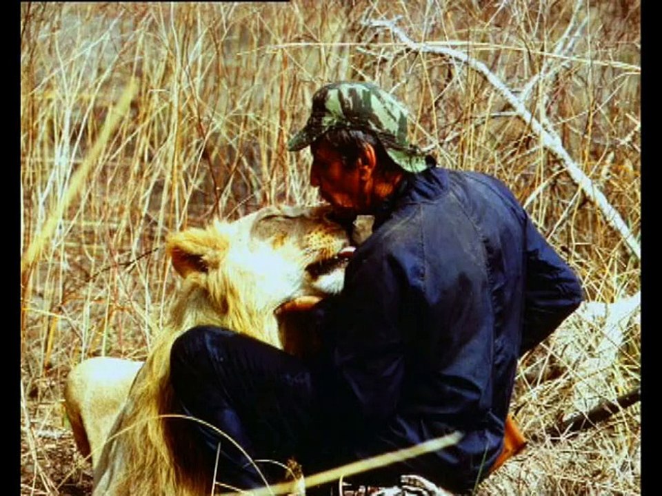 Bande Annonce de Baba baroga le père des lions