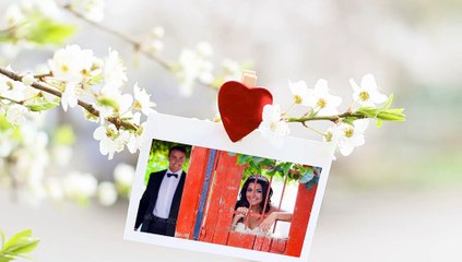 After Effects Project Files - Flowering Cherry Gallery - VideoHive 7505336