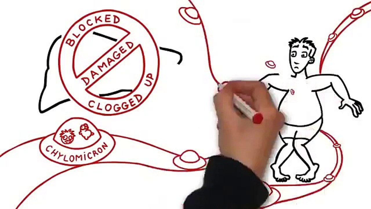 Belly Fat Foods- Belly Fat Burning Foods- Foods That Burn Belly Fat 2015