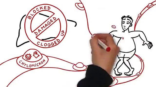 Belly Fat Foods- Belly Fat Burning Foods- Foods That Burn Belly Fat 2015