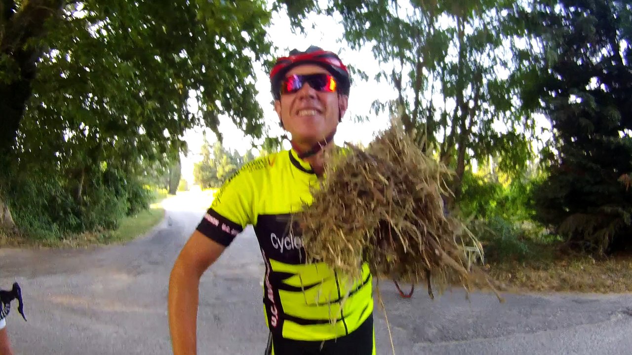 02-Du foin pour les anes