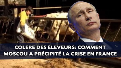Colère des éleveurs: Comment la Russie a précipité la crise en France