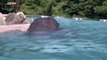Ce zoo japonais vous permet de voir des éléphants nager dans un bassin transparent