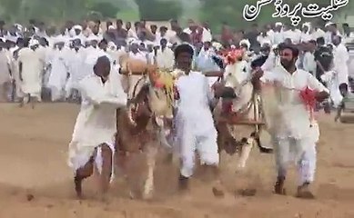 jalsa saien muhammadi mureed chakwal 2015 part19