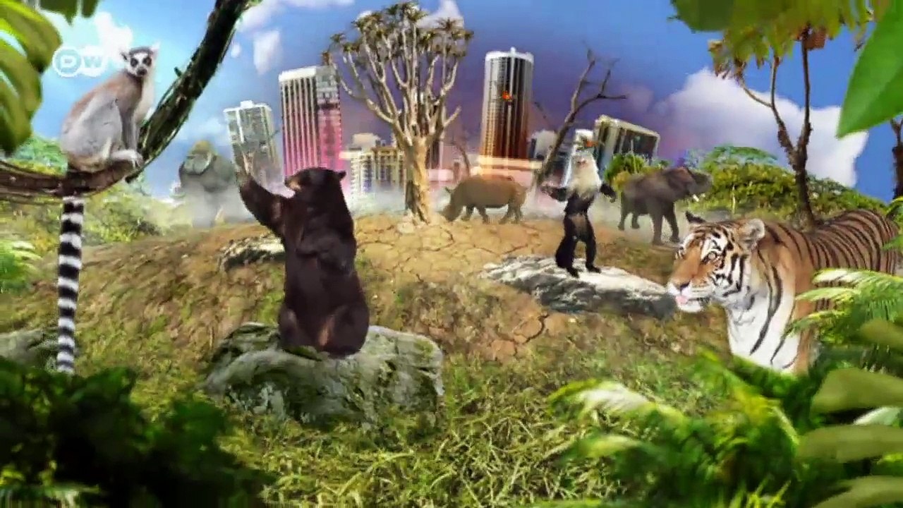 Namibia: Freigang für die Dickhäuter | Global 3000