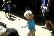 The San Diego Zoo - Children's Petting Zoo brushing goats