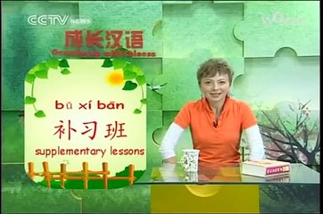 0408 Growing up with Chinese   学汉语