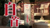 3DS「超・逃走中　あつまれ！最強の逃走者たち」PV