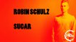 Robin Schulz - Sugar (feat. Francesco Yates) [HBz House/Electro Remix]