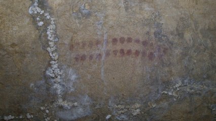 La Grotte de Marsoulas, Marsoulas, 2011