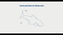 How to draw a Shark Easy step by step drawing lessons for kids