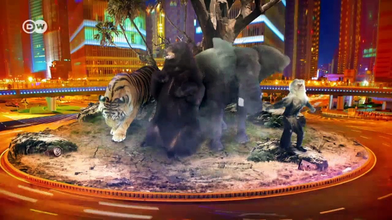 Grenzenlose Liebe zu Elefanten | Global Ideas