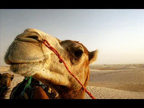 DJ Yahel-Inti Zar (High Quality)