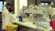 MOOC : Ouvrez les portes du laboratoire : cellules et cellules souches