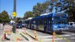Articulated Buses
