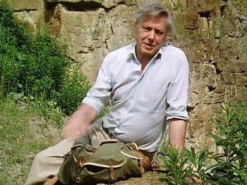 BBC Lost Worlds Vanished Lives 1 of 4