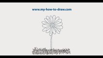 How to draw a Daisy Easy step by step drawing lessons for kids