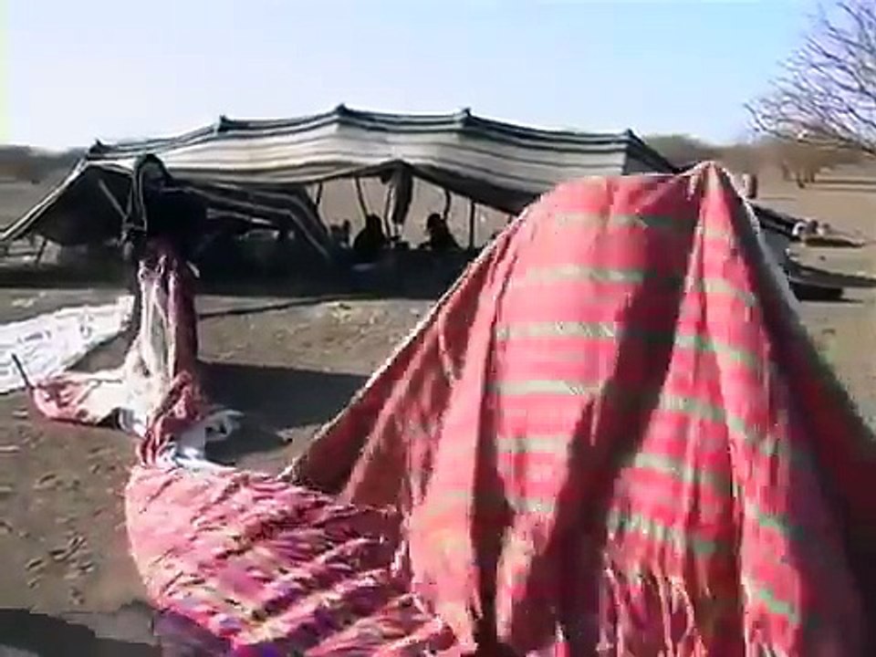 صورة من حياة القبيلة السعودية التي هاجرت ونزحت الى بلاد السودان والحبشة ارتيريا ؟؟ قبيلة الرشايدة العريقة المحافضة على دينها وتقاليدها وله