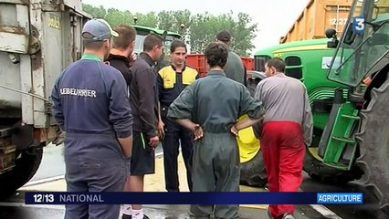 Éleveurs : François Hollande annonce un plan d'urgence