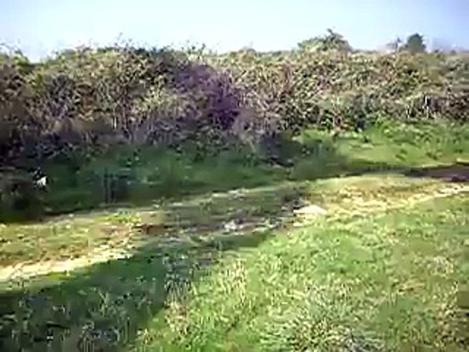 Shadow Flicker and turbine noise at Delabole wind farm in Cornwall UK