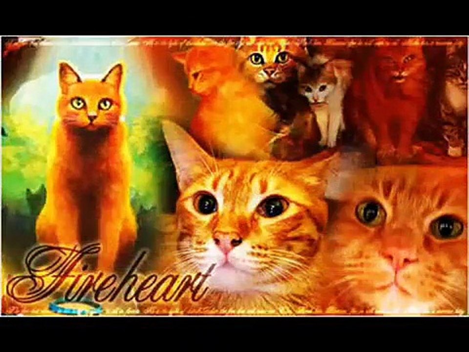 All the ThunderClan Warrior Cats