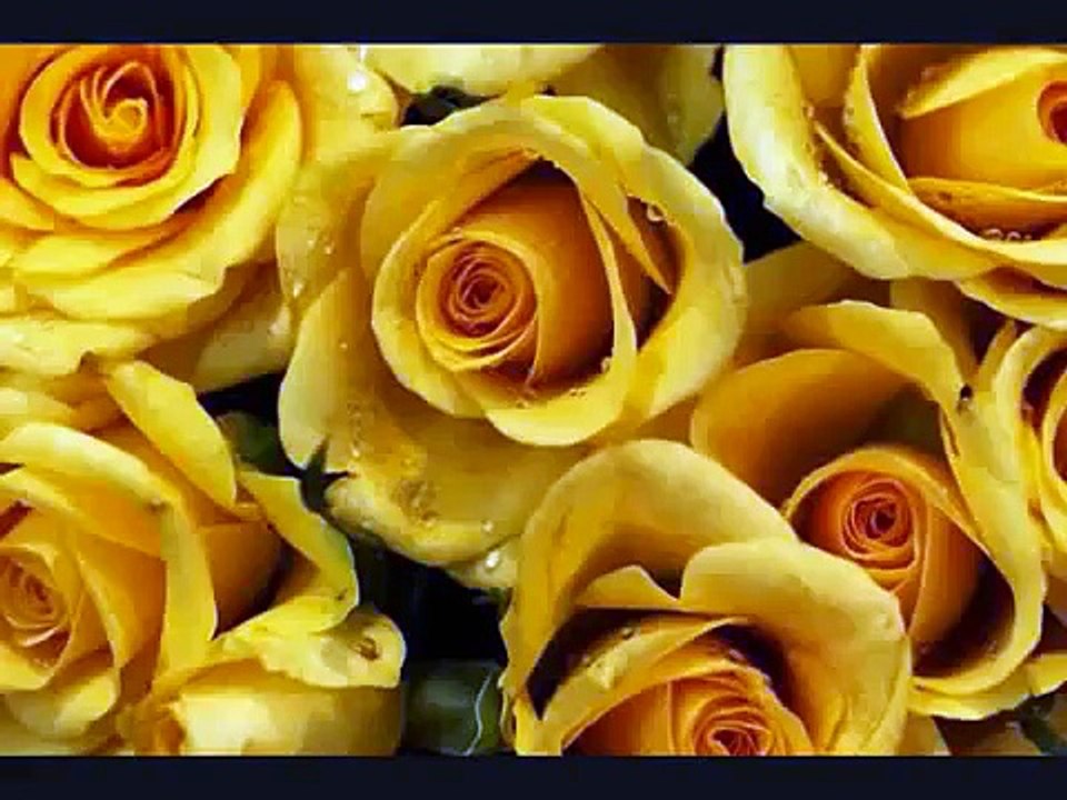 Cloning Plants & Flowers (Biotech Project)