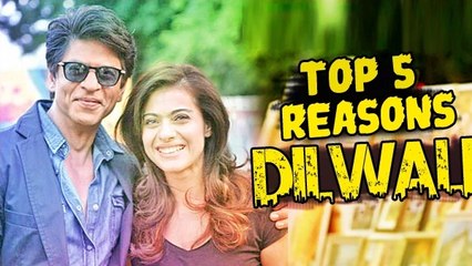 Dilwale Movie Top 5 Reasons To Watch | Shahrukh Khan, Kajol, Varun Dhawan