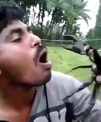 Toying with crab. Result is haahaha