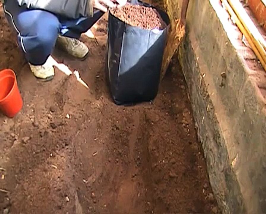 Planting and growing potatoes in containers or bags