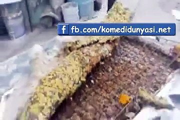 Yeni alınmış yatağın içinden ne çıkabilir