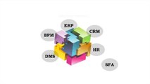 Total Management System - ERP, CRM, DMS, HR, SFA, BI, BPM