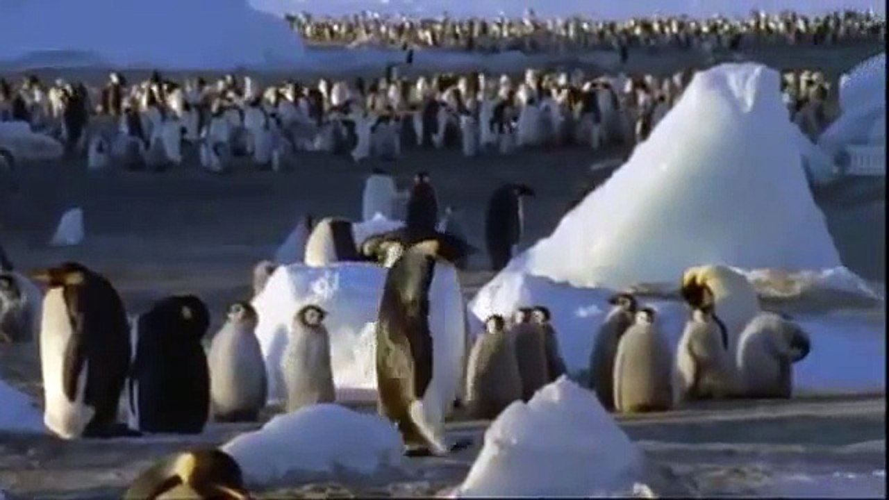 FROZEN CHURCH: Pinguins in de Heer!