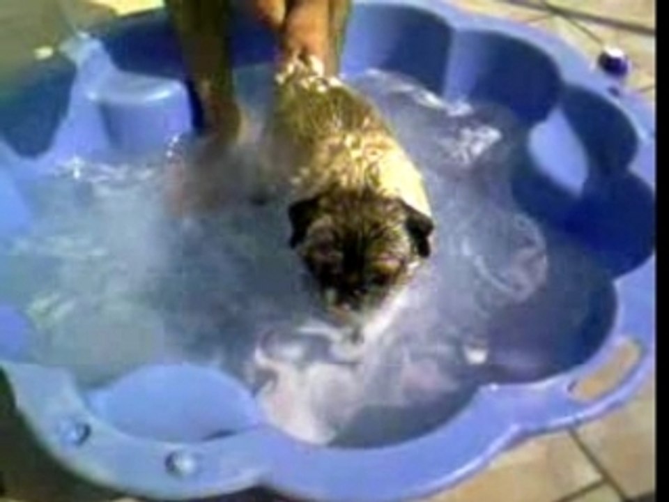 Romeo au lavage