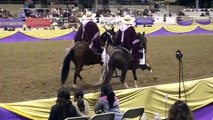 Peruvian Paso Heritage Riders - Fiesta of the Spanish Horse