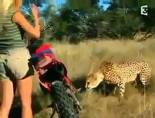 self confidence is every thing