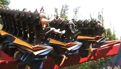Sheikra at Busch Gardens Africa