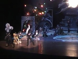 Cats The Musical Mr Mistoffeles - Broadway Show 2010