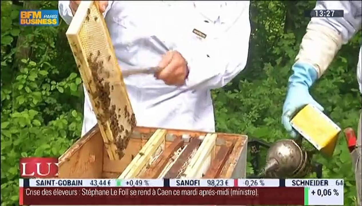 Le Reportage: Un toit pour les abeilles, parrainage de ruche - 21/07