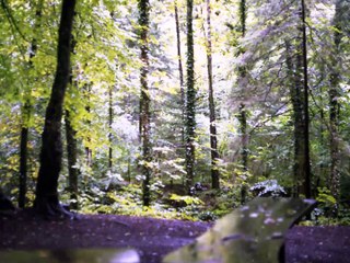 Flying by Maurizio Macrì - Virtual Band