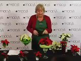 Decorating with Poinsettias with Julie